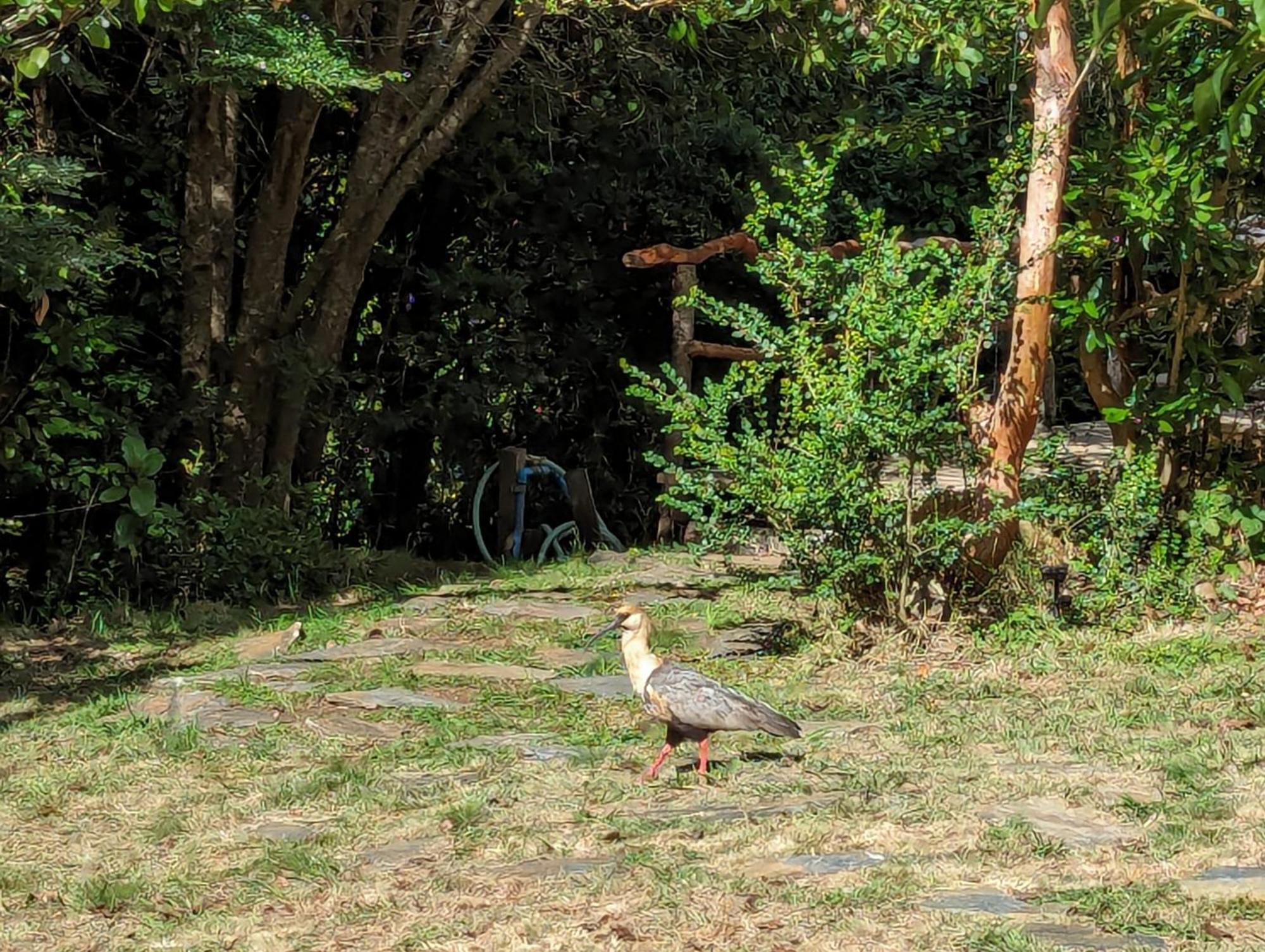 Complejo Kari Mapu Park Villa Pucón Esterno foto