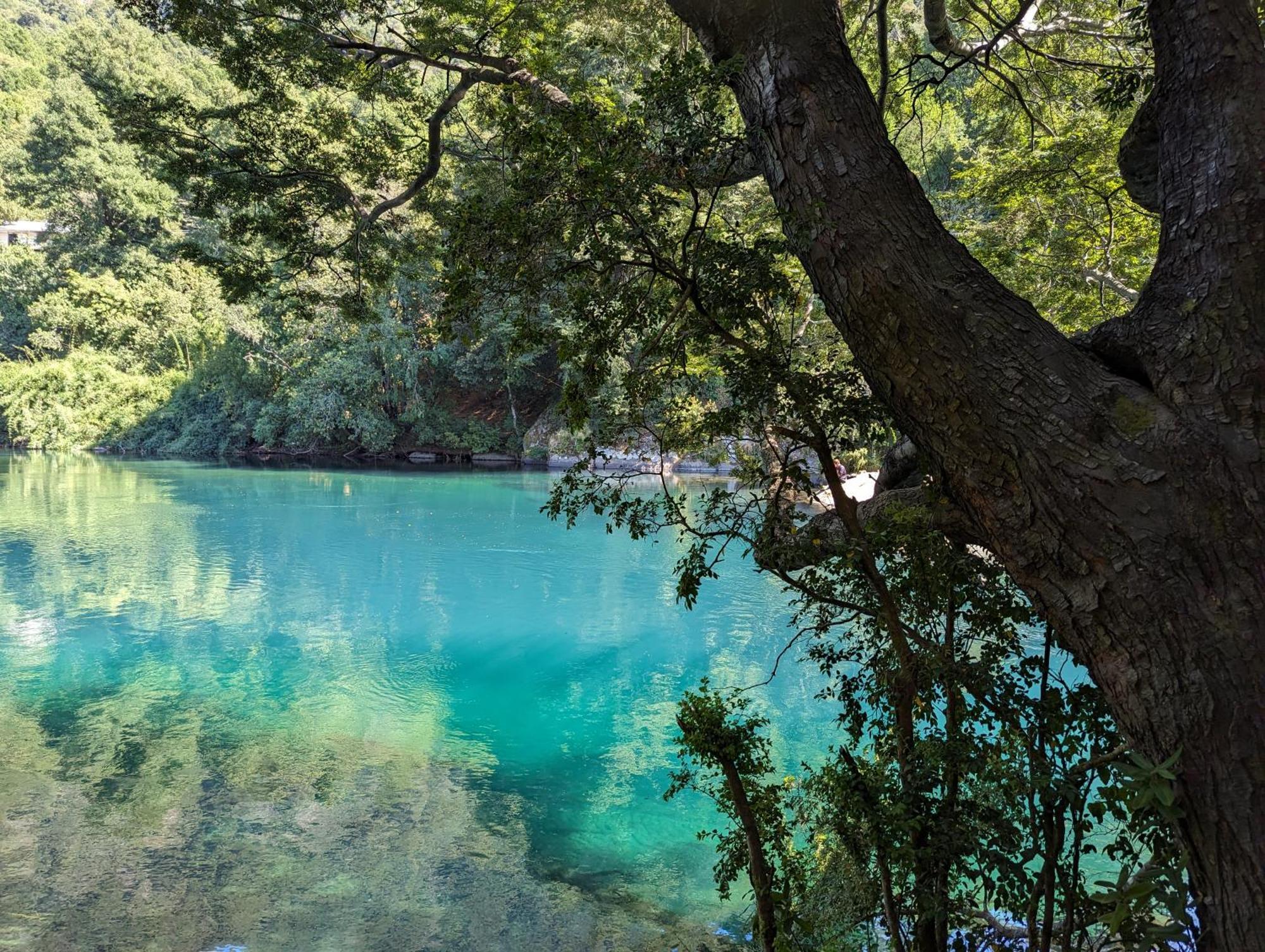 Complejo Kari Mapu Park Villa Pucón Esterno foto